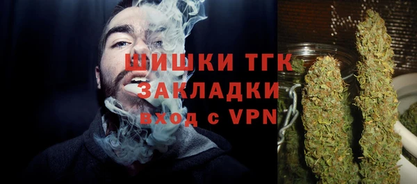 трава Новодвинск
