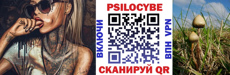 МЕГА ONION  Ясный  Галлюциногенные грибы Psilocybine cubensis 
